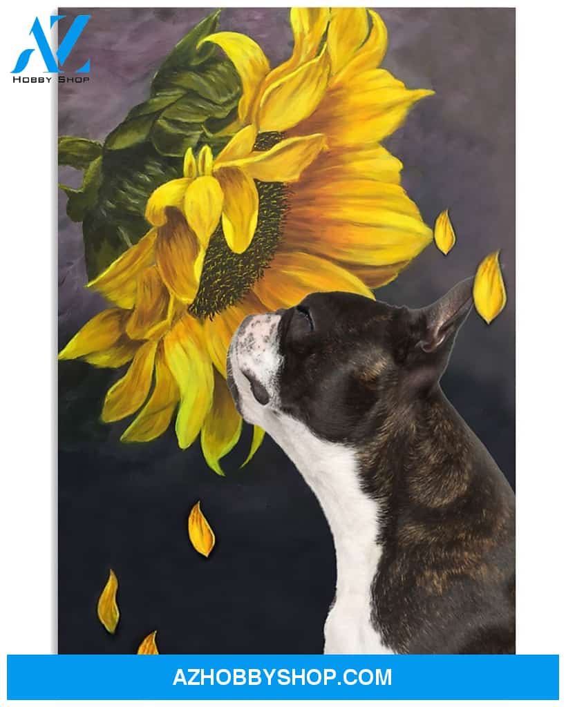 Boston terrier sunflower poster 24x36 Poster