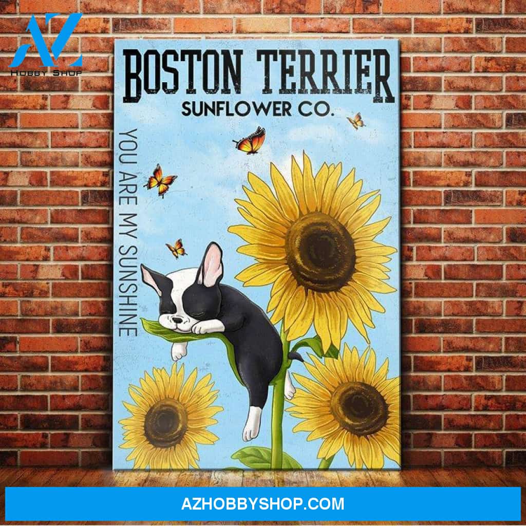 Boston Terrier Sunflower Sunshine Canvas Wall Art, Wall Decor Visual Art