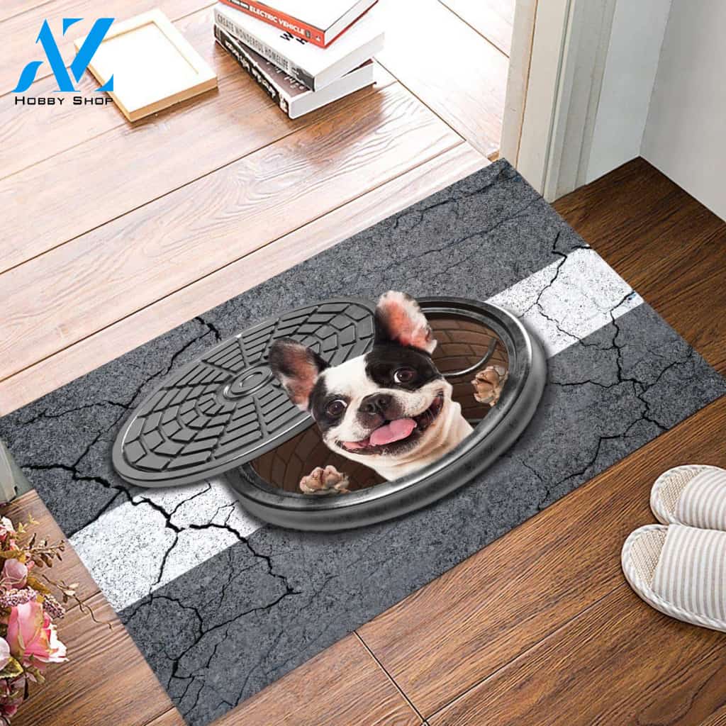 Boston Terrier Surprise Appearance Doormat | Welcome Mat | House Warming Gift