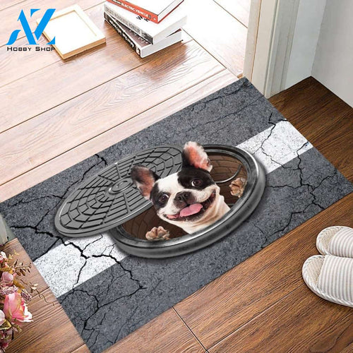 Boston Terrier Surprise Appearance Indoor and Outdoor Doormat Warm House Gift Welcome Mat Gift For Dog Lovers Birthday Gift