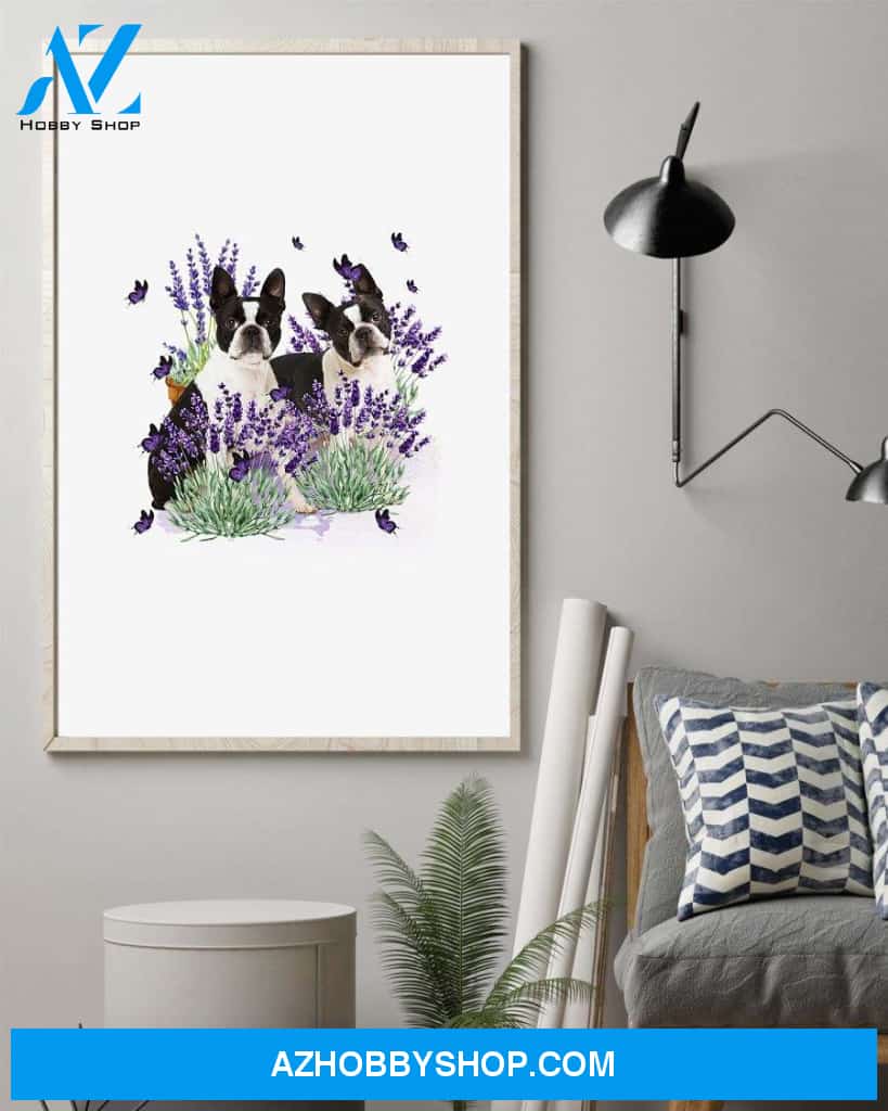 Boston Terrier with lavender flower poster