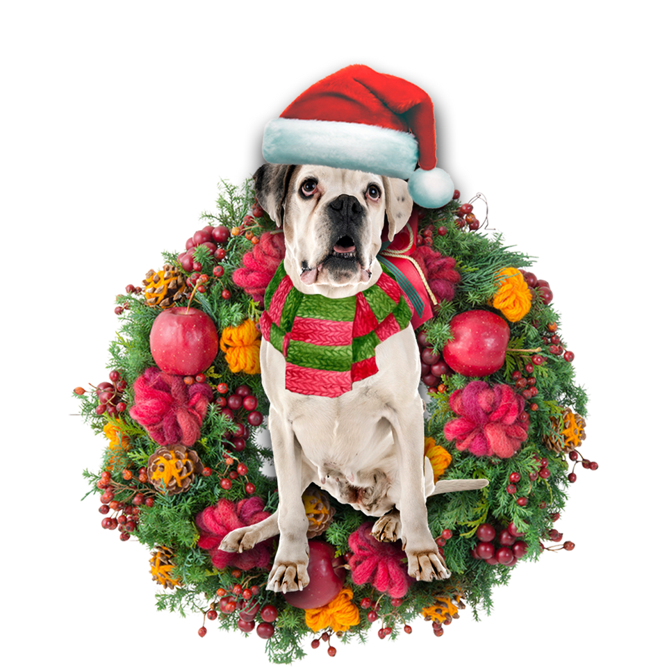 Godmerch- Ornament- Boxer Dog Christmas Ornament, Happy Christmas Ornament, Car Ornament