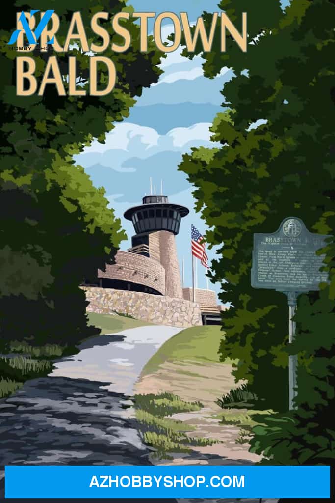 Brasstown Bald Georgia Trail Scene