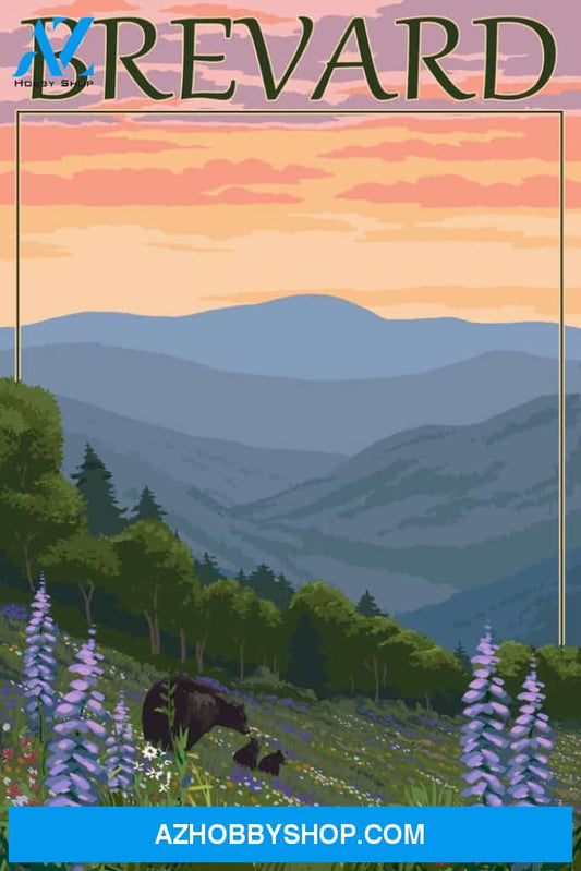 Brevard North Carolina Spring Flowers And Bear Family