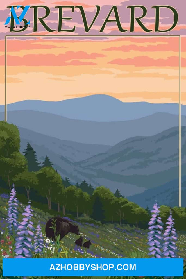 Brevard North Carolina Spring Flowers And Bear Family