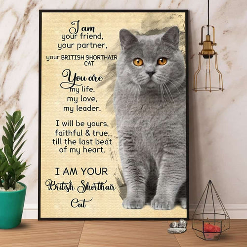 British Shorthair Cat I Am Your Friend Your Partner Paper Poster No Frame Matte Canvas Wall Decor