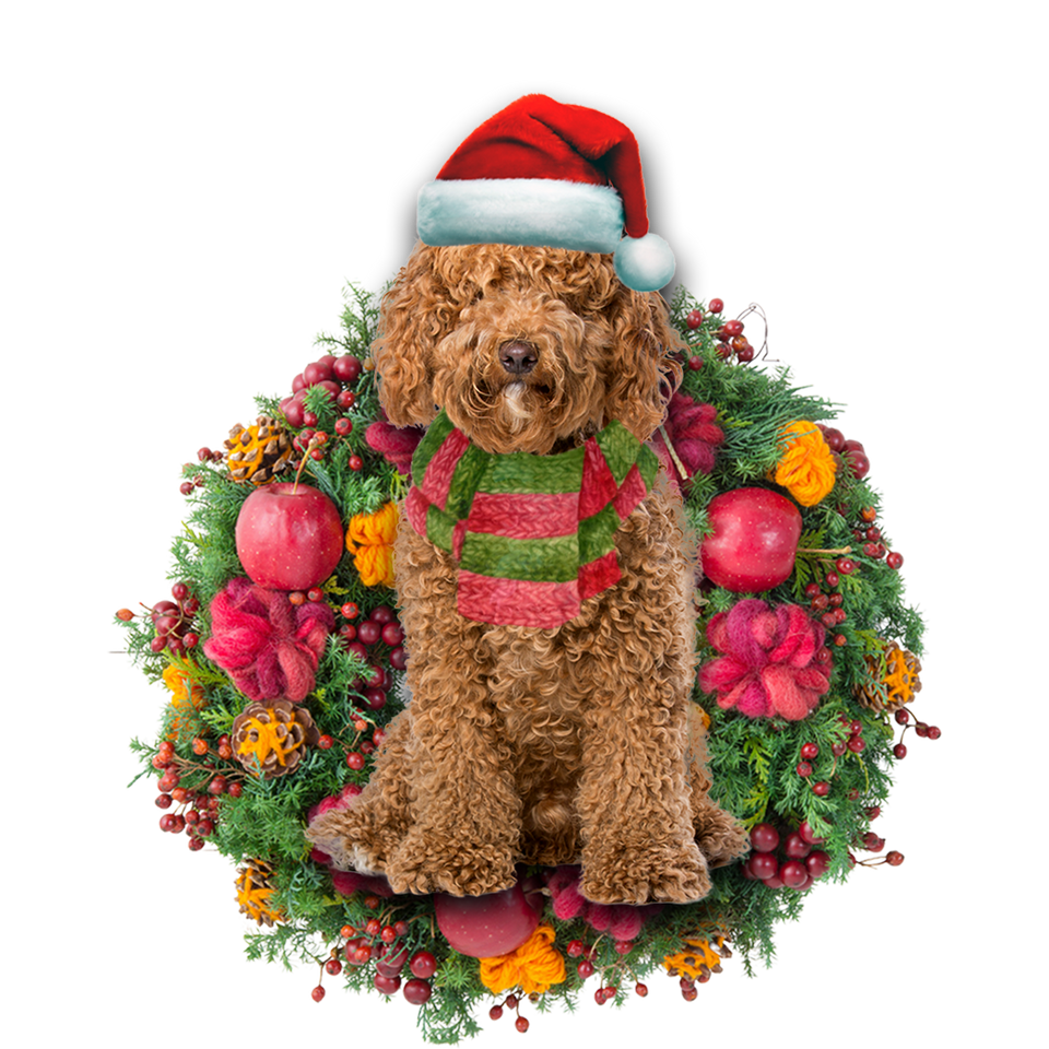 Godmerch- Ornament- Brown Labradoodle Christmas Ornament, Happy Christmas Ornament, Car Ornament
