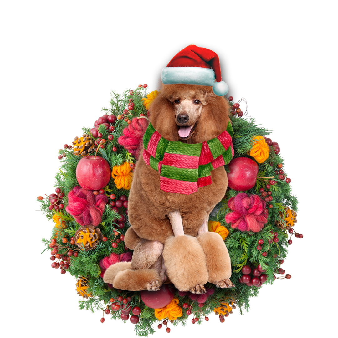 Godmerch- Ornament- Brown Poodle Christmas Ornament, Happy Christmas Ornament, Car Ornament