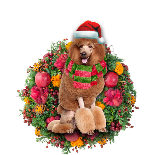 Godmerch- Ornament- Brown Poodle Christmas Ornament, Happy Christmas Ornament, Car Ornament