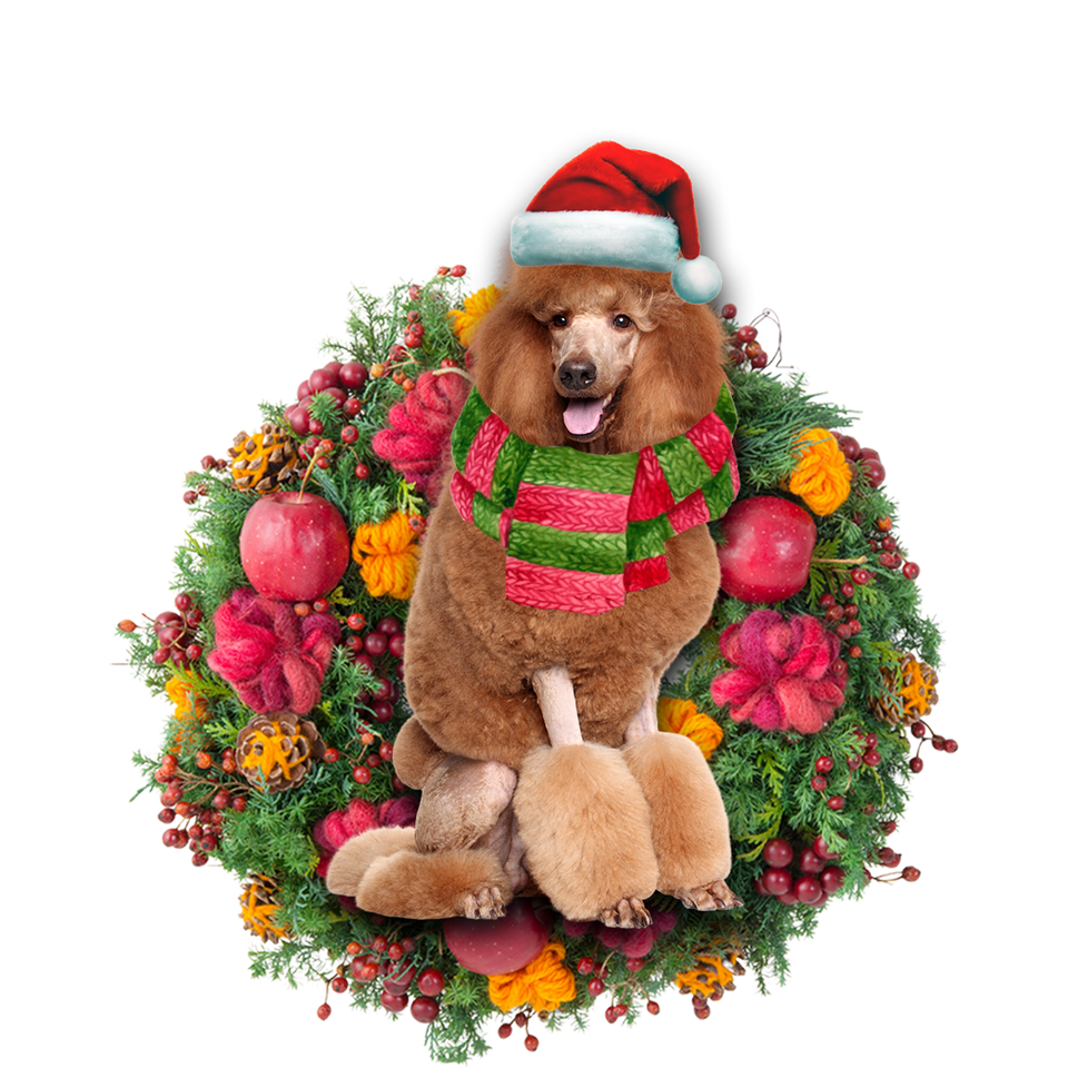 Godmerch- Ornament- Brown Poodle Christmas Ornament, Happy Christmas Ornament, Car Ornament