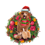 Godmerch- Ornament- Brown Poodle Christmas Ornament, Happy Christmas Ornament, Car Ornament