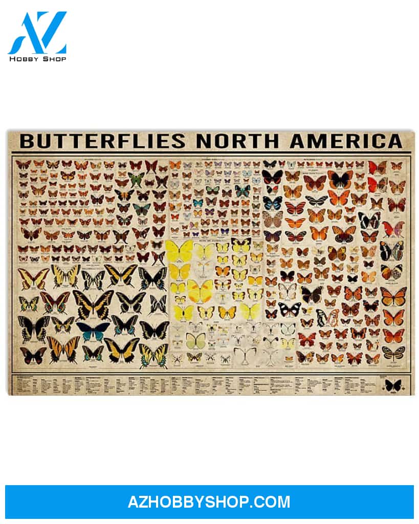 Butterflies North America Canvas Wall Art, Wall Decor Visual Art