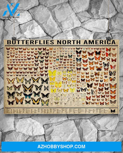 Butterflies North America Canvas Wall Art, Wall Decor Visual Art