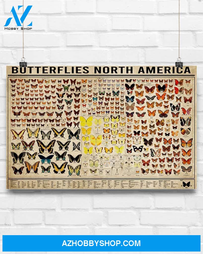 Butterflies North America Canvas Wall Art, Wall Decor Visual Art