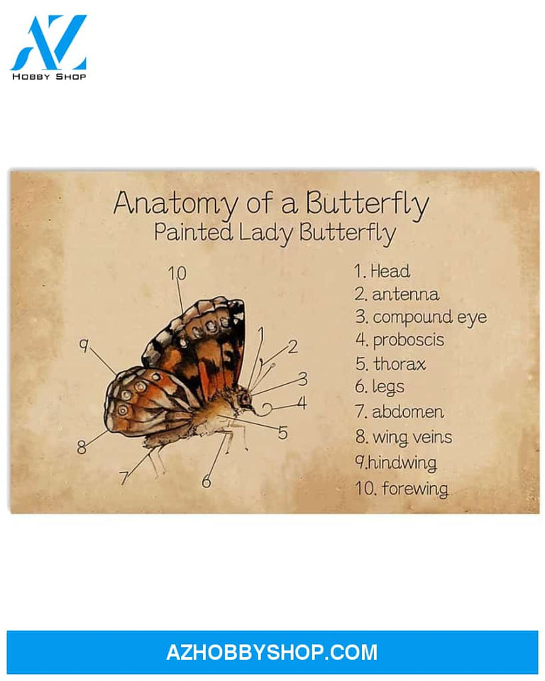Butterfly Anatomy Of A Butterfly Canvas Wall Art, Wall Decor Visual Art
