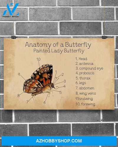 Butterfly Anatomy Of A Butterfly Canvas Wall Art, Wall Decor Visual Art