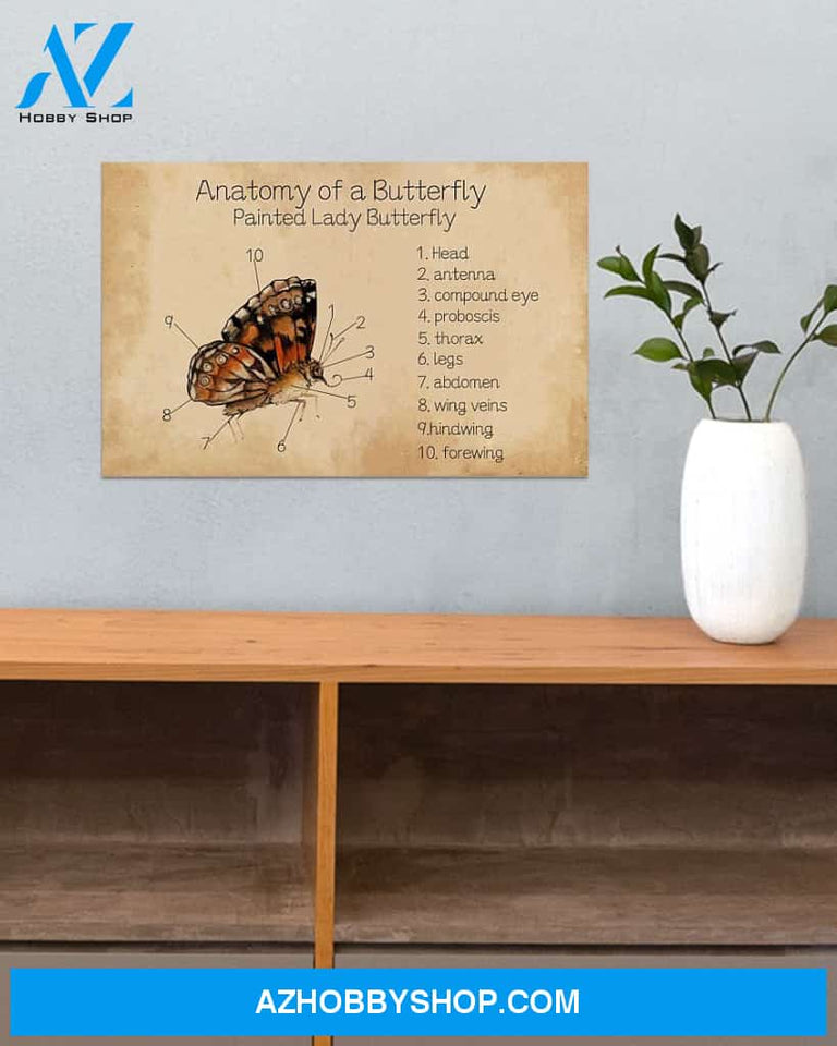 Butterfly Anatomy Of A Butterfly Canvas Wall Art, Wall Decor Visual Art