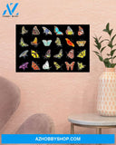 Butterfly Diversity Wall Art Canvas Prints, Wall Decor Visual Art