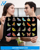 Butterfly Diversity Wall Art Canvas Prints, Wall Decor Visual Art