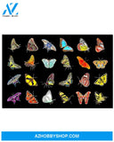 Butterfly Diversity Wall Art Canvas Prints, Wall Decor Visual Art