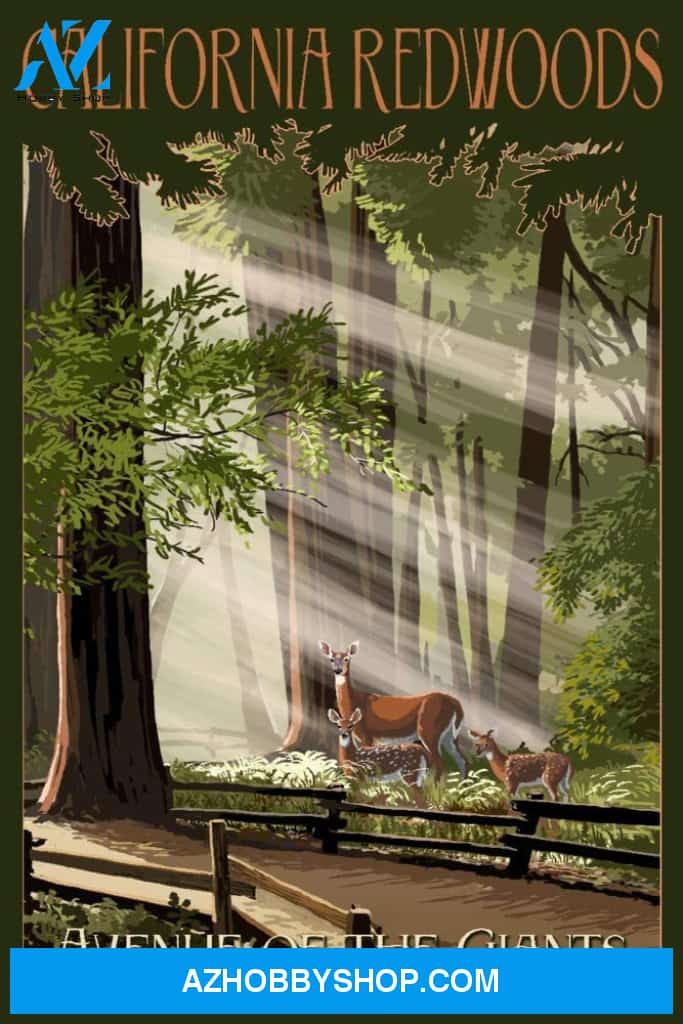 California Redwoods Avenue Of The Giants Deer And Fawns