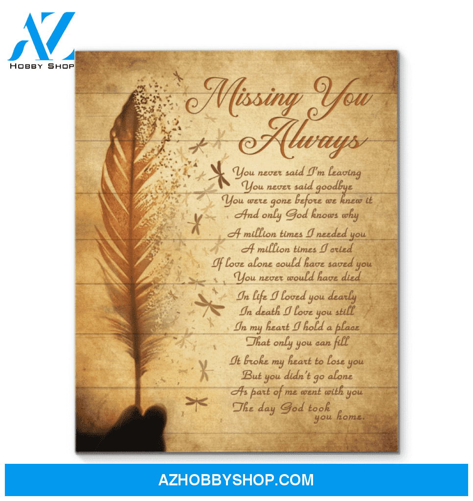 Canvas - Dragonfly - Missing You Always3
