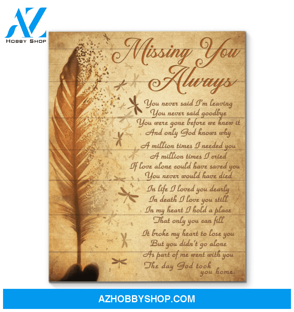 Canvas - Dragonfly - Missing You Always3