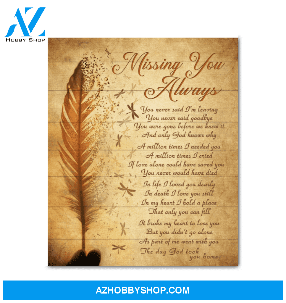 Canvas - Dragonfly - Missing You Always3