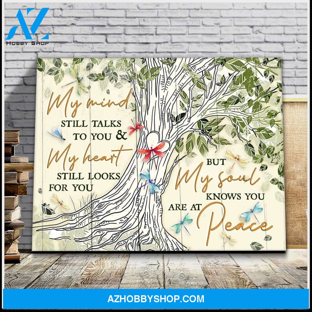 Canvas - Dragonfly - My Mind Still Talks To You 2