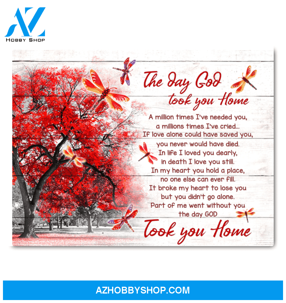 Canvas - Dragonfly - The Day God Took You Home