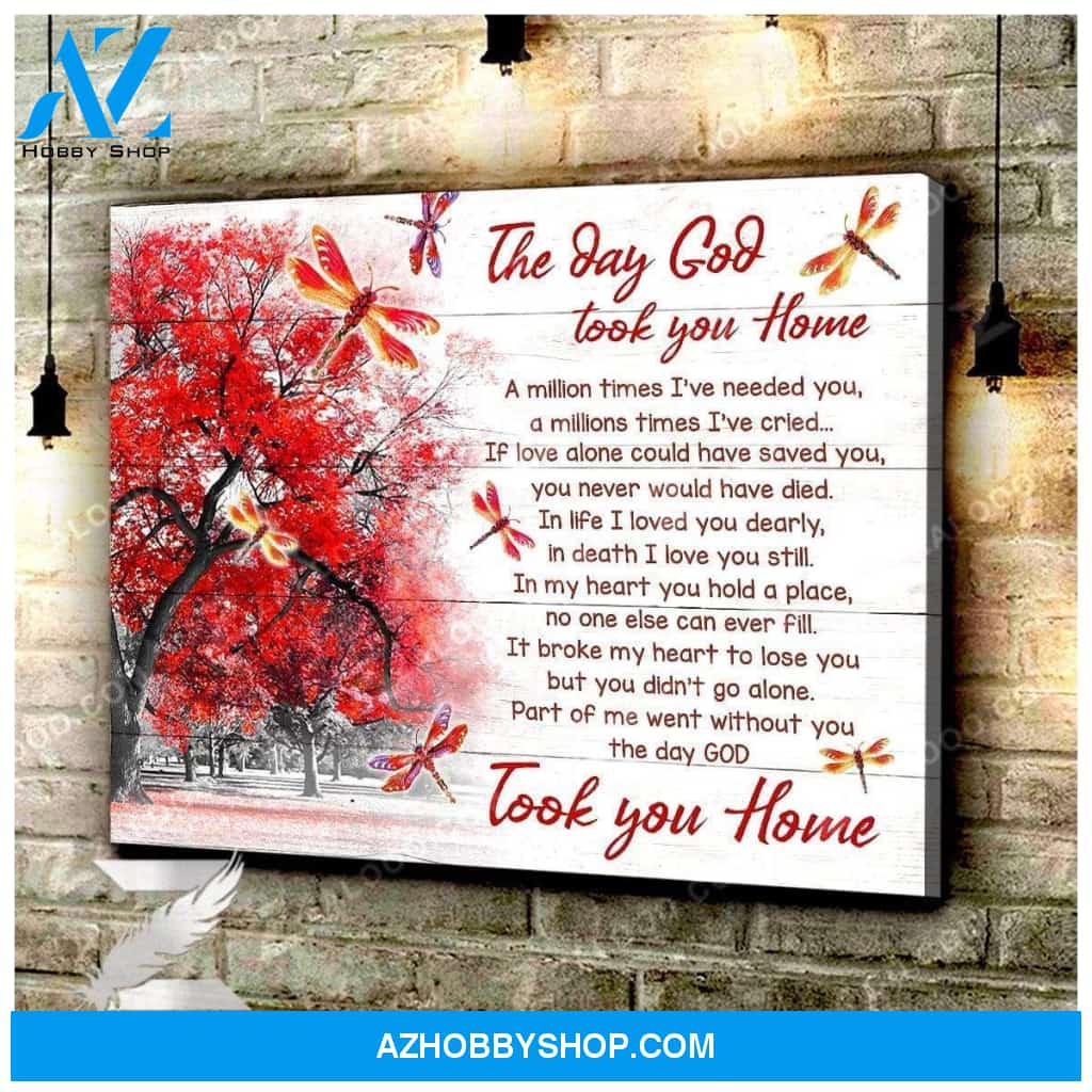 Canvas - Dragonfly - The Day God Took You Home