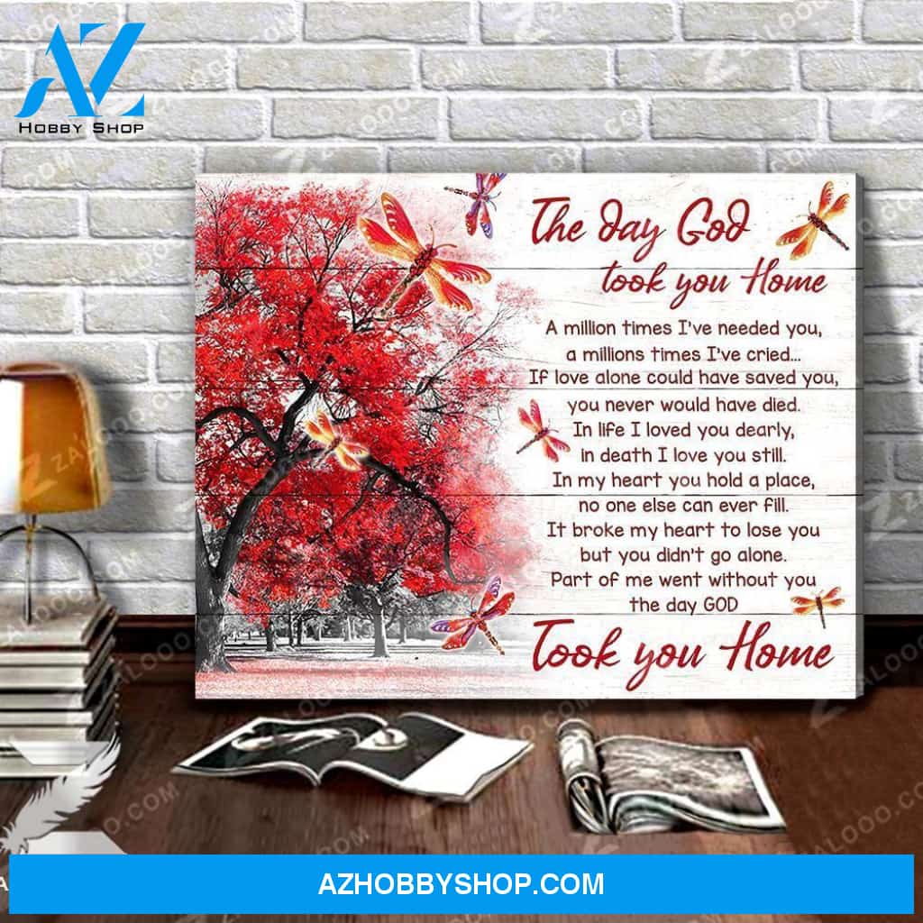 Canvas - Dragonfly - The Day God Took You Home