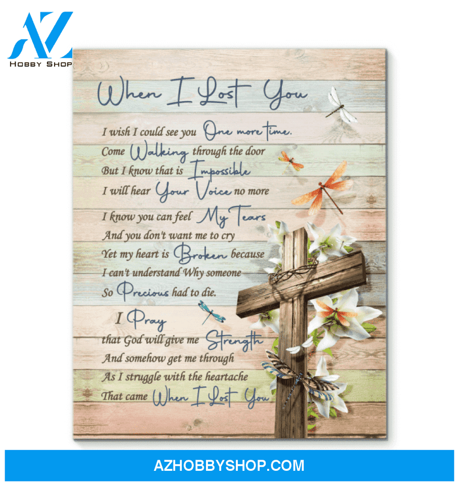Canvas - Dragonfly - When I Lost You V2