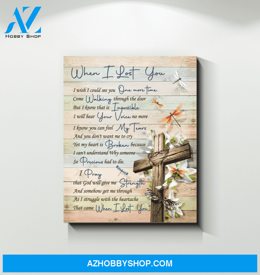 Canvas - Dragonfly - When I Lost You V2