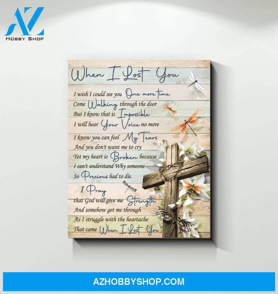 Canvas - Dragonfly - When I Lost You V2