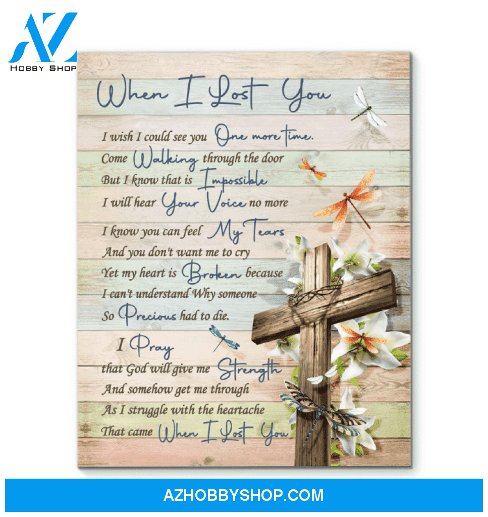 Canvas - Dragonfly - When I Lost You V2