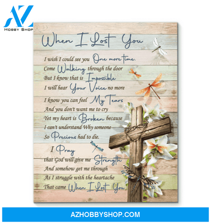 Canvas - Dragonfly - When I Lost You V2