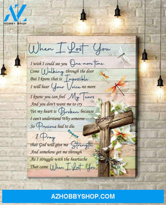 Canvas - Dragonfly - When I Lost You V2