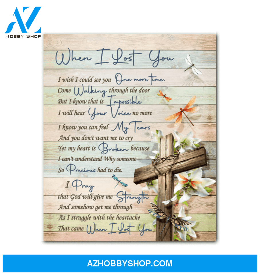 Canvas - Dragonfly - When I Lost You V2