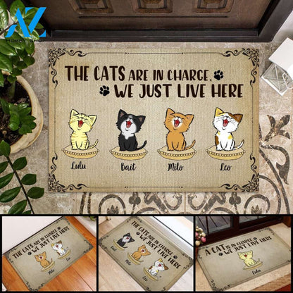 Cat And Their People Personalized Doormat