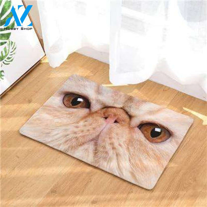 Cat Doormat