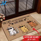Cat Doormat Customized Name And Breed The Cat And Its Housekeeping Staff | WELCOME MAT | HOUSE WARMING GIFT