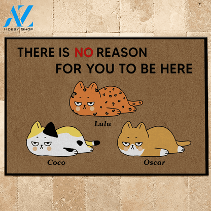 Cat Doormat Customized Name And Breed There Is No Reason For You To Be Here | WELCOME MAT | HOUSE WARMING GIFT