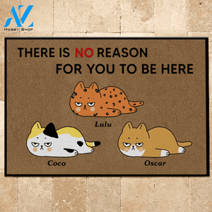 Cat Doormat Customized Name And Breed There Is No Reason For You To Be Here | WELCOME MAT | HOUSE WARMING GIFT