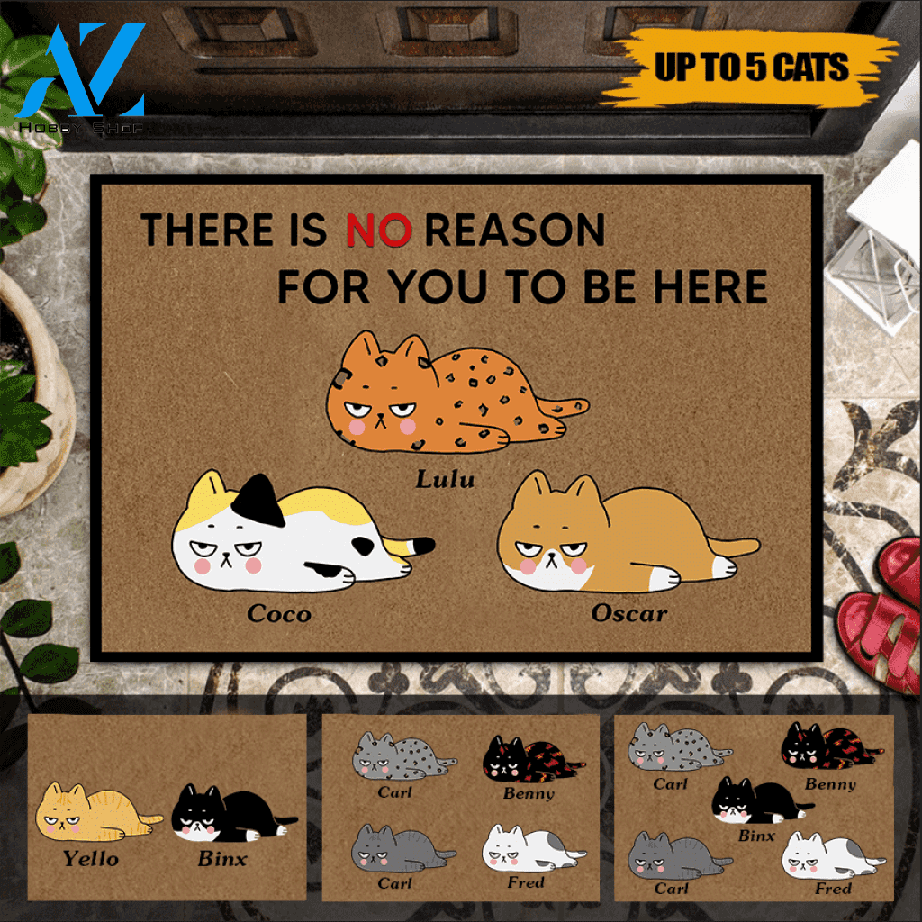 Cat Doormat Customized Name And Breed There Is No Reason For You To Be Here | WELCOME MAT | HOUSE WARMING GIFT