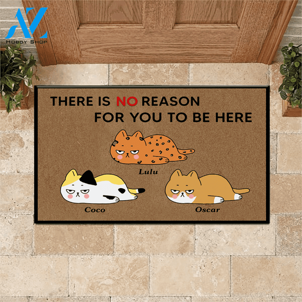 Cat Doormat Customized Name And Breed There Is No Reason For You To Be Here | WELCOME MAT | HOUSE WARMING GIFT