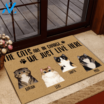 Cat Doormat Customized Names and Breeds The Cats Are In Charge We Just Live Here | WELCOME MAT | HOUSE WARMING GIFT