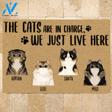 Cat Doormat Customized Names and Breeds The Cats Are In Charge We Just Live Here | WELCOME MAT | HOUSE WARMING GIFT