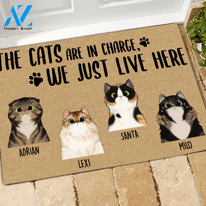 Cat Doormat Customized Names and Breeds The Cats Are In Charge We Just Live Here | WELCOME MAT | HOUSE WARMING GIFT
