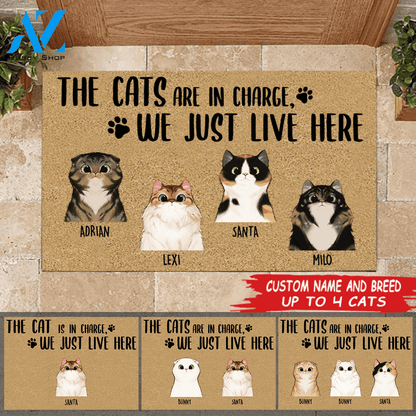 Cat Doormat Customized Names and Breeds The Cats Are In Charge We Just Live Here | WELCOME MAT | HOUSE WARMING GIFT